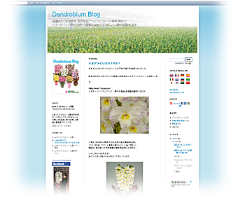 Dendrobium Blog